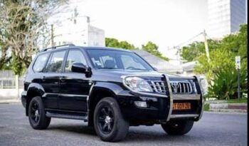 Prado3